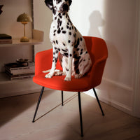 Rely HW104 Lounge Chair - Fully Upholstered