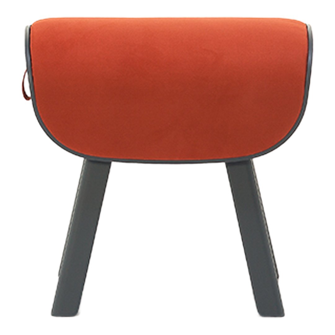 Rust orange cushion with smooth texture and contrasting dark gray legs. Stylish and modern design for any space.