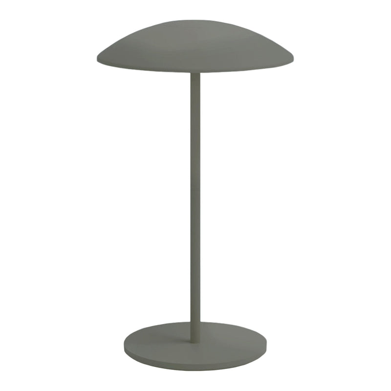 Sleek, modern lamp in muted sage green with a smooth, rounded shade and understated base for a minimalist touch.