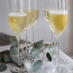 Cabernet Champagne Glass - Set of 6