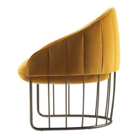 "Curved mustard yellow velvet chair with ribbed detailing and metal frame, perfect for modern interiors."