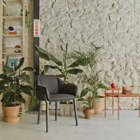 Nido Armchair - Wood Base