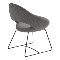 Shark Chair - Steel Wire, Sledge Base