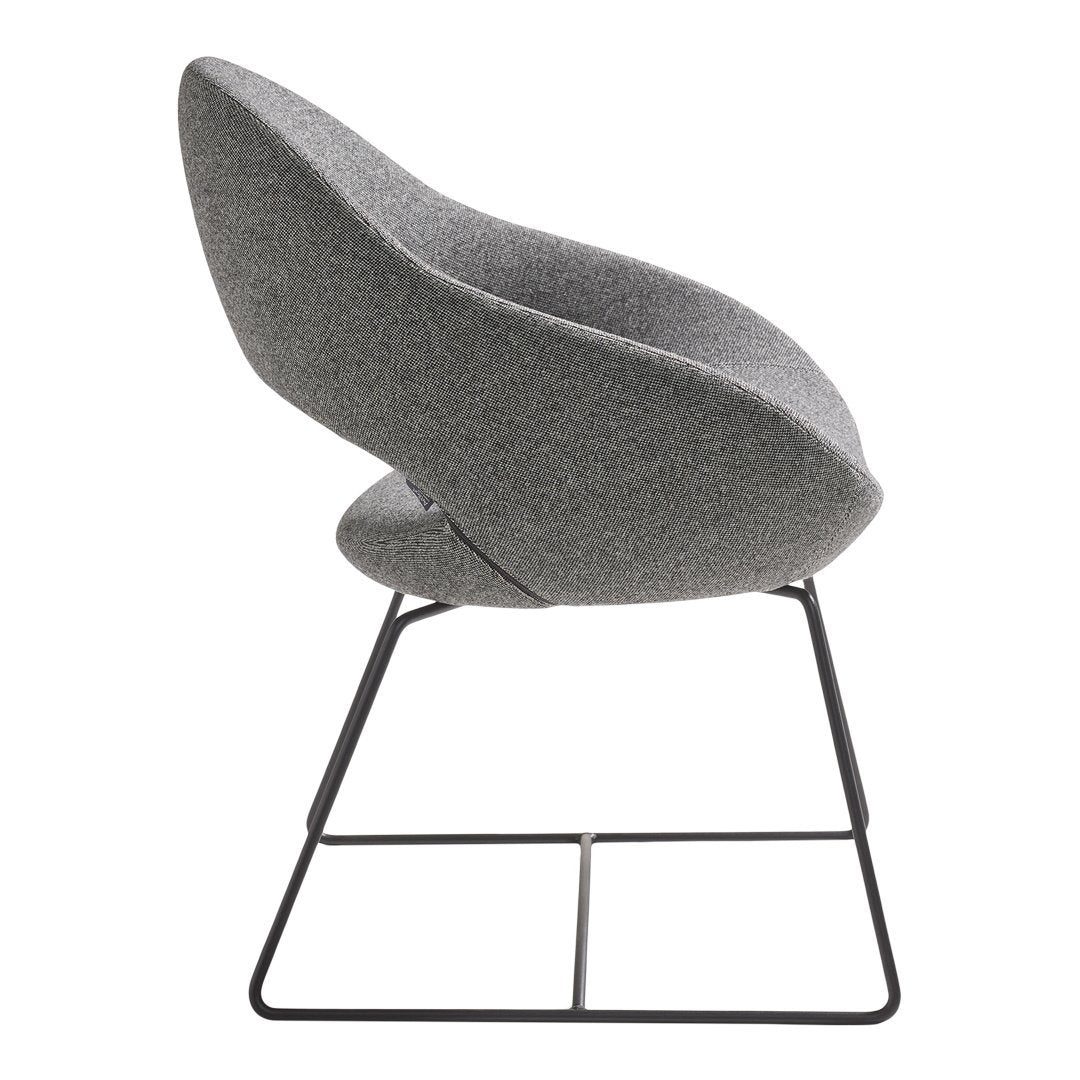 Shark Chair - Steel Wire, Sledge Base