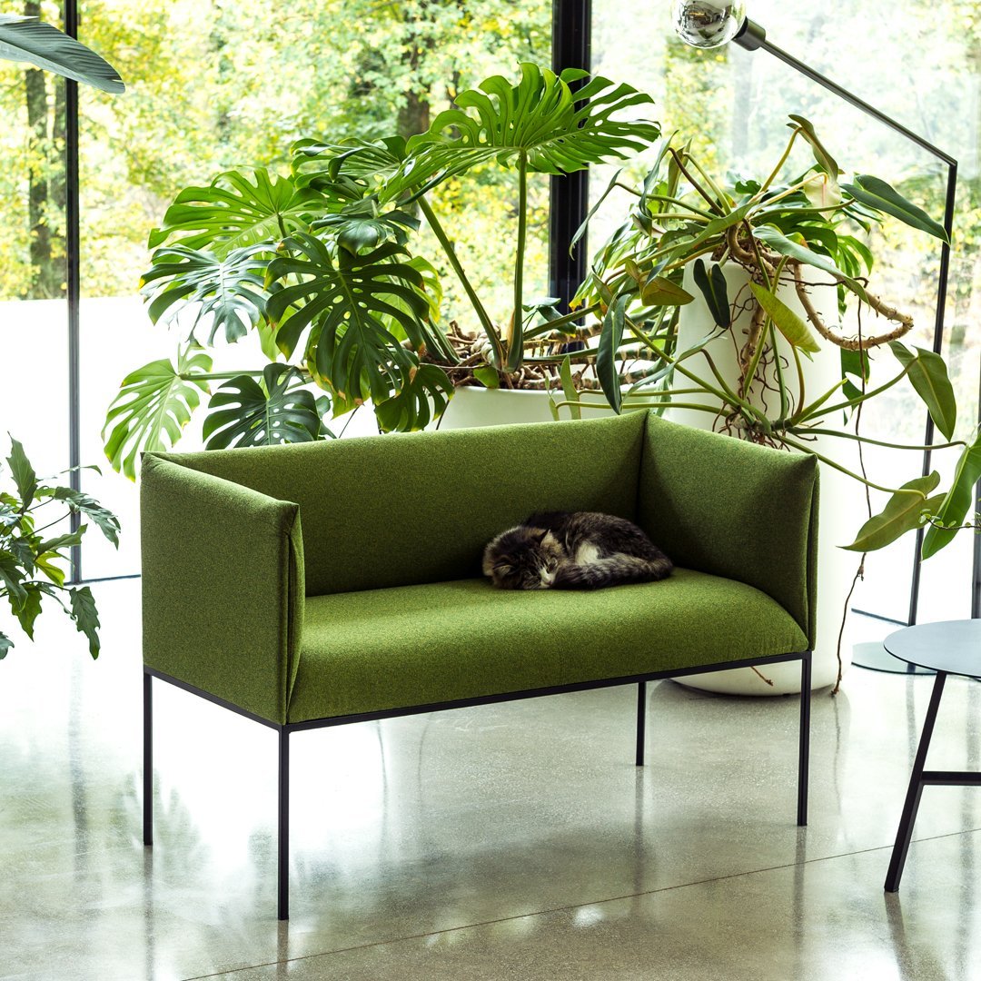 Green upholstered sofa with minimalist design, set against a backdrop of lush greenery and natural light.