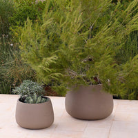 Set of two smooth, round, taupe planters with greenery, showcasing earthy tones and natural textures.