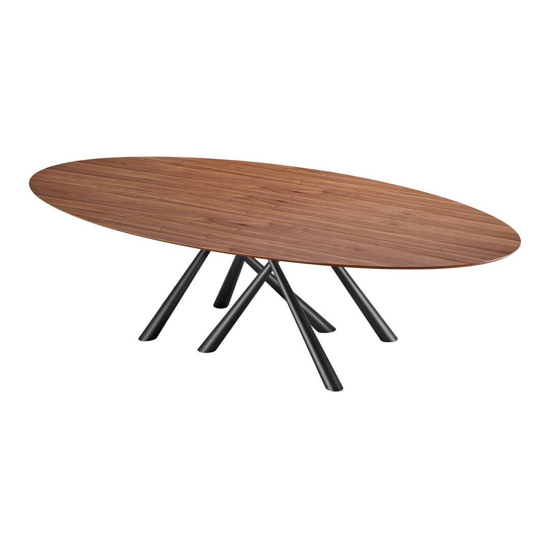 Oval walnut coffee table with a rich wood grain finish and sleek black metal legs. Modern and stylish design.