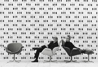 Tulip Lounge Chair - Disc Base