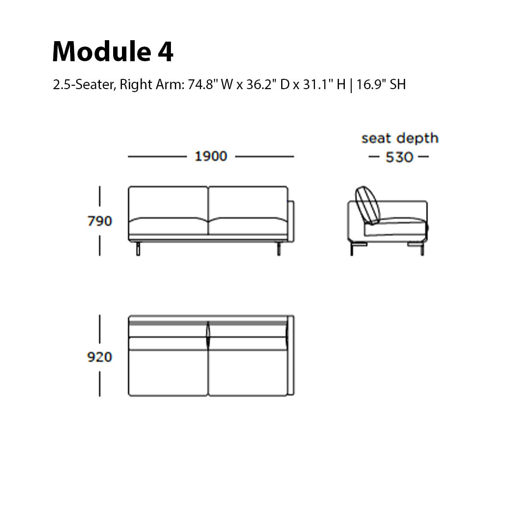 "Modern 2.5-seat sofa in a minimalist design with sleek lines and neutral color palette."