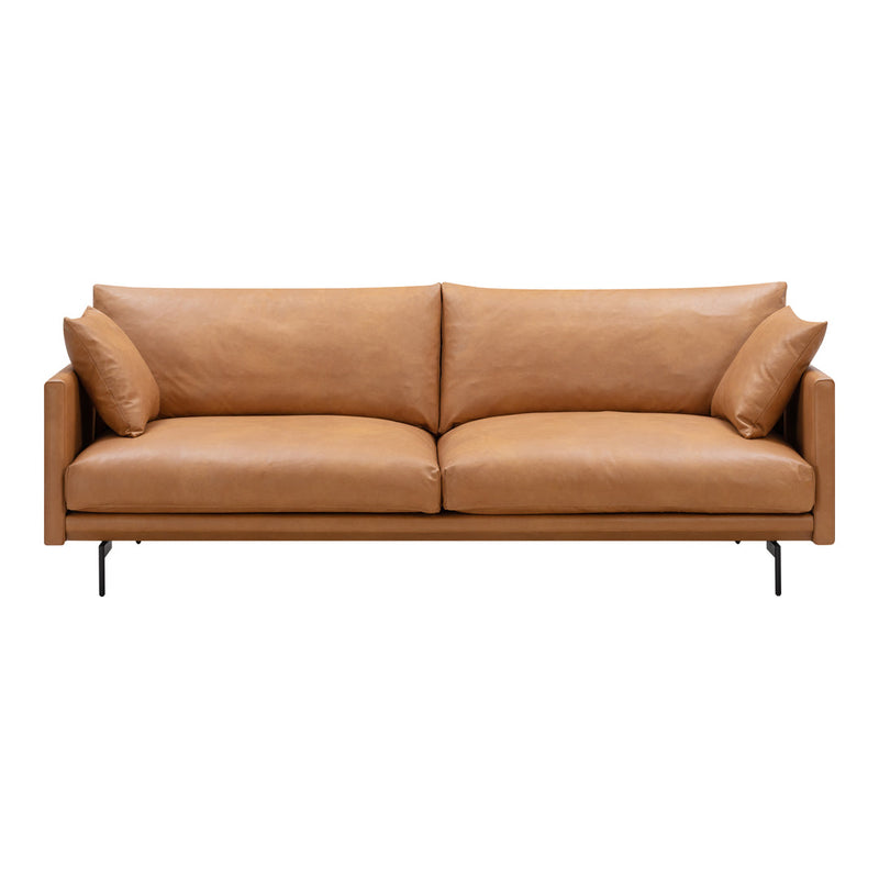Tan leather sofa with smooth texture and minimalist design, featuring two loose cushions. Perfect for modern decor.
