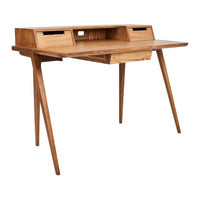 Scandinavian-style wooden desk in warm oak finish with minimalist lines and natural grain pattern.