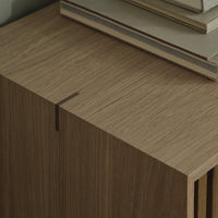 Wooden cabinet with a smooth, natural grain pattern in warm brown tones, complemented by minimalist design elements.