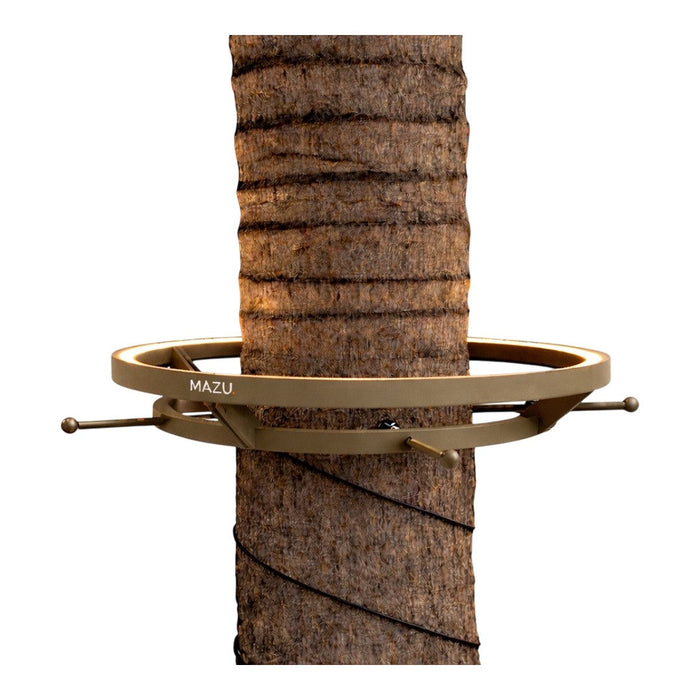 Bronze circular tree mount with subtle texture, contrasting against a rough, brown tree trunk.
