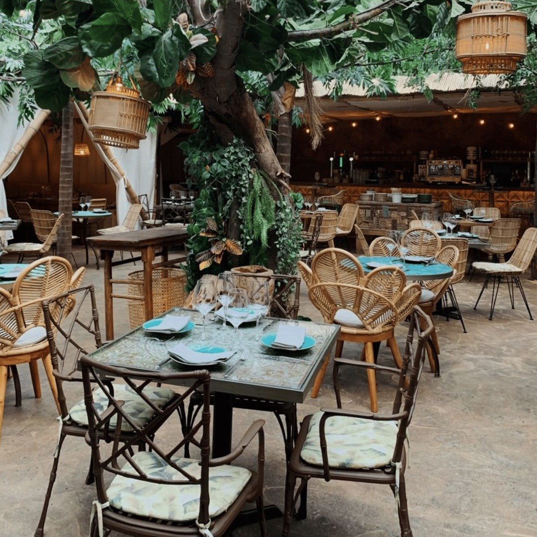 "Elegant indoor dining area with rattan furniture, turquoise accents, and lush green foliage creating a cozy atmosphere."
