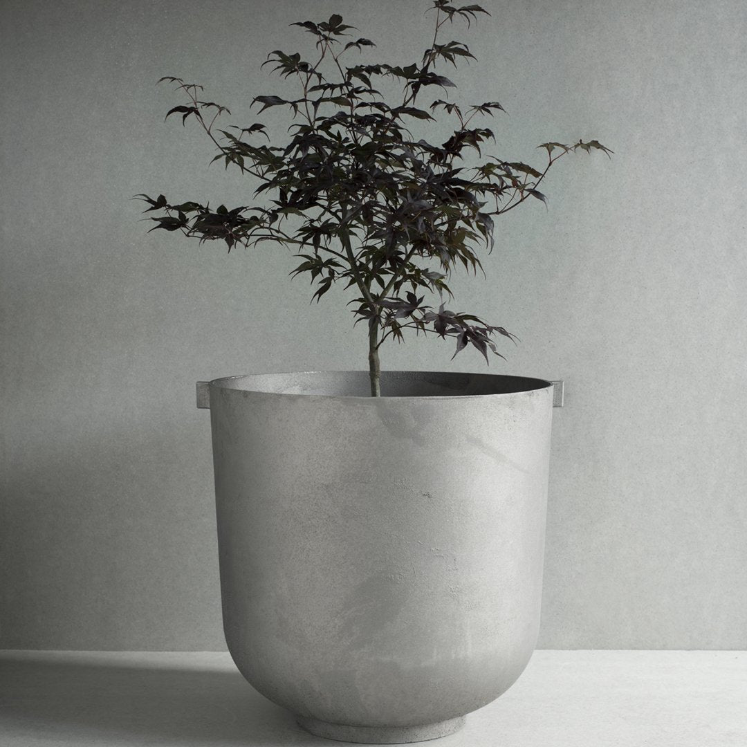 Concrete planter with smooth gray finish and a vibrant dark leafed tree. Stylish modern design for any decor.