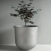 Concrete planter with smooth gray finish and a vibrant dark leafed tree. Stylish modern design for any decor.