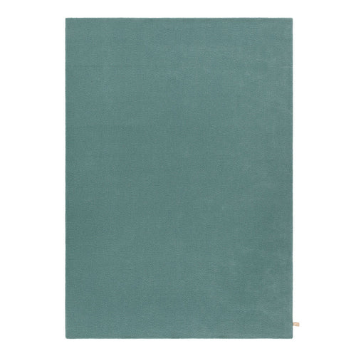 Solid teal area rug with a smooth texture, ideal for modern and minimalist home decor.