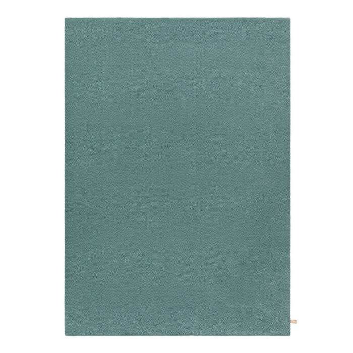 Solid teal area rug with a smooth texture, ideal for modern and minimalist home decor.