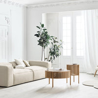 "Beige sofa and wooden accent tables in a bright, airy living room with green plants and soft white curtains."