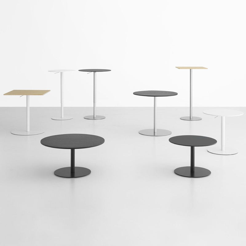 Modern coffee tables in black, white, and natural wood, featuring sleek round and square tops with minimalistic designs.