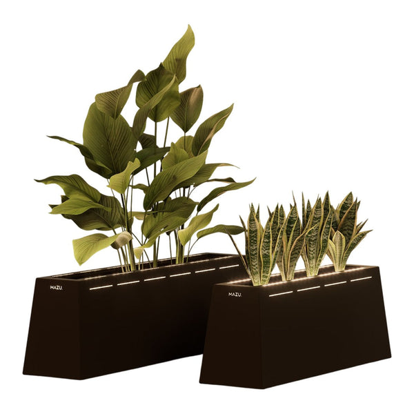 Modern black plant pots with lush green leaves, featuring a sleek, minimalistic design and unique geometric patterns.