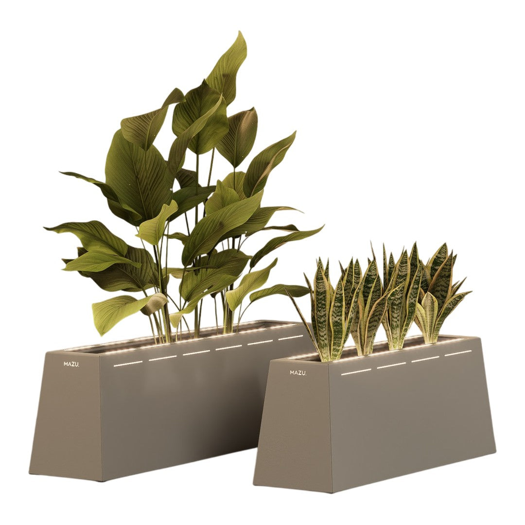Gray rectangular planters with vibrant green leaves in various patterns and shapes, adding a touch of nature.