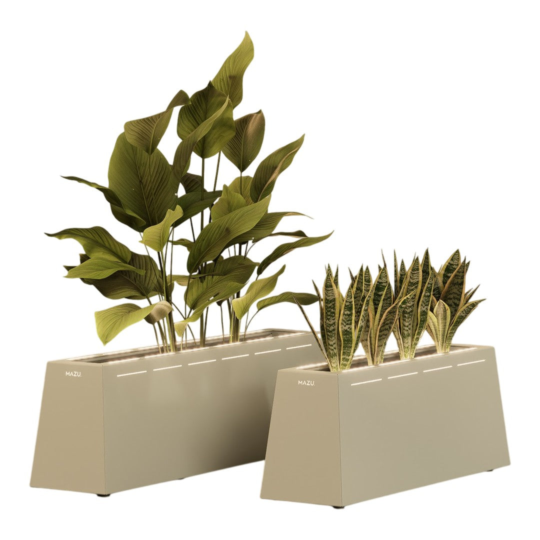 Modern beige planters with lush green foliage, featuring sleek lines and minimalistic design for stylish decor.