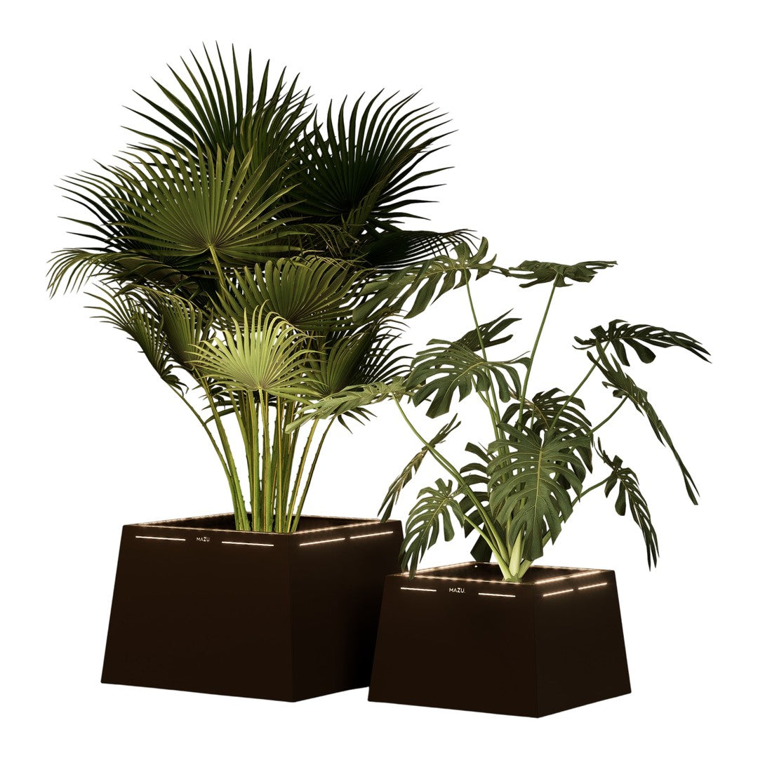 "Green tropical plants with lush, feathery leaves in sleek dark planters, featuring varying shades of green."