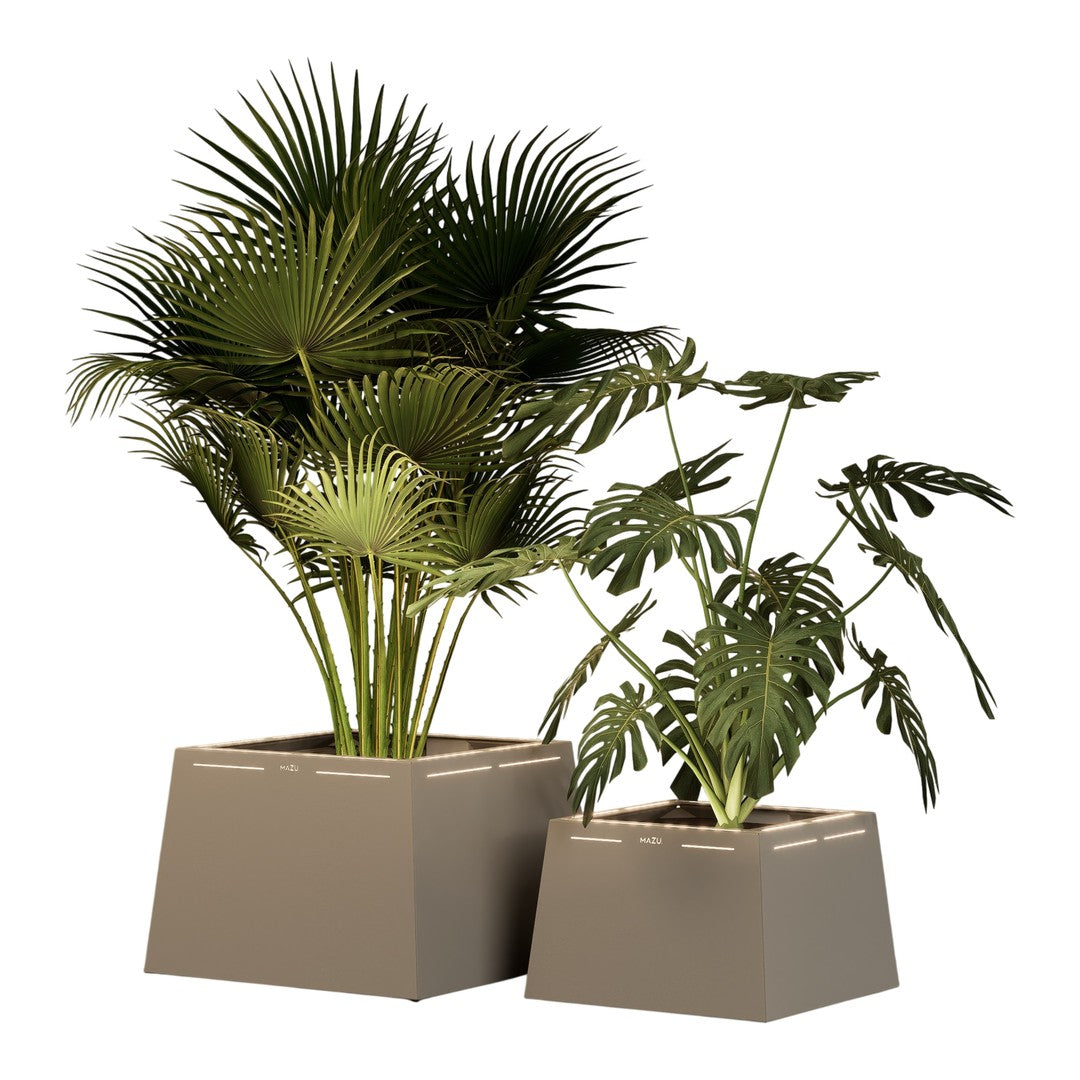 Green tropical plants in modern beige pots, featuring lush fronds and textured leaves for an inviting natural look.