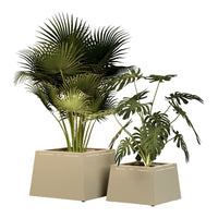 "Green leafy plants in modern beige pots with a sleek geometric design; vibrant textures and lush foliage."
