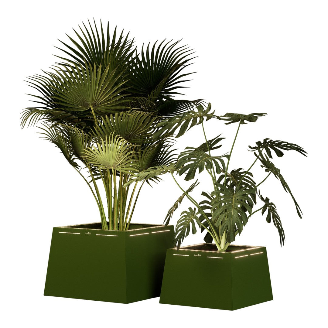 "Green tropical plants in modern dark green square pots, featuring intricate leaf patterns."