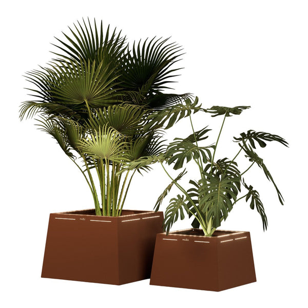 Lush green tropical plants in modern brown pots, featuring varied leaf shapes and textures for vibrant decor.