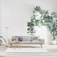 Light gray sofa with soft cushions, paired with wooden accent tables, set against white walls and lush green plants.