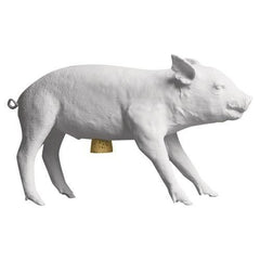 Reality Bank in the Form of a Pig