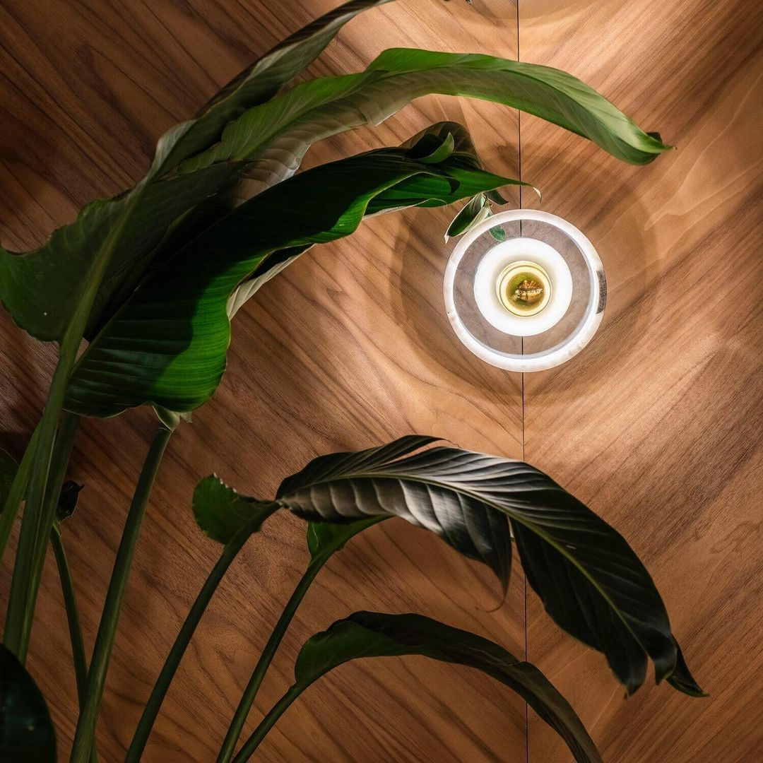 Modern pendant light with a sleek circular design, featuring clear glass and accented by rich green plant leaves on wood backdrop.
