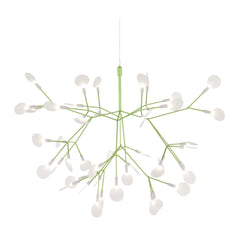 Heracleum III Small Suspended