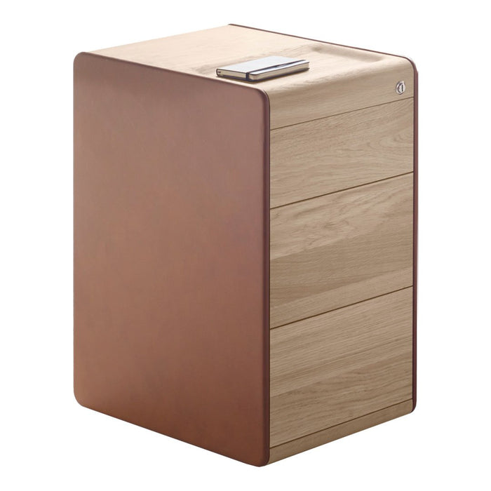Wooden storage cabinet featuring a sleek brown finish and natural wood grain pattern. Modern design with minimalist appeal.