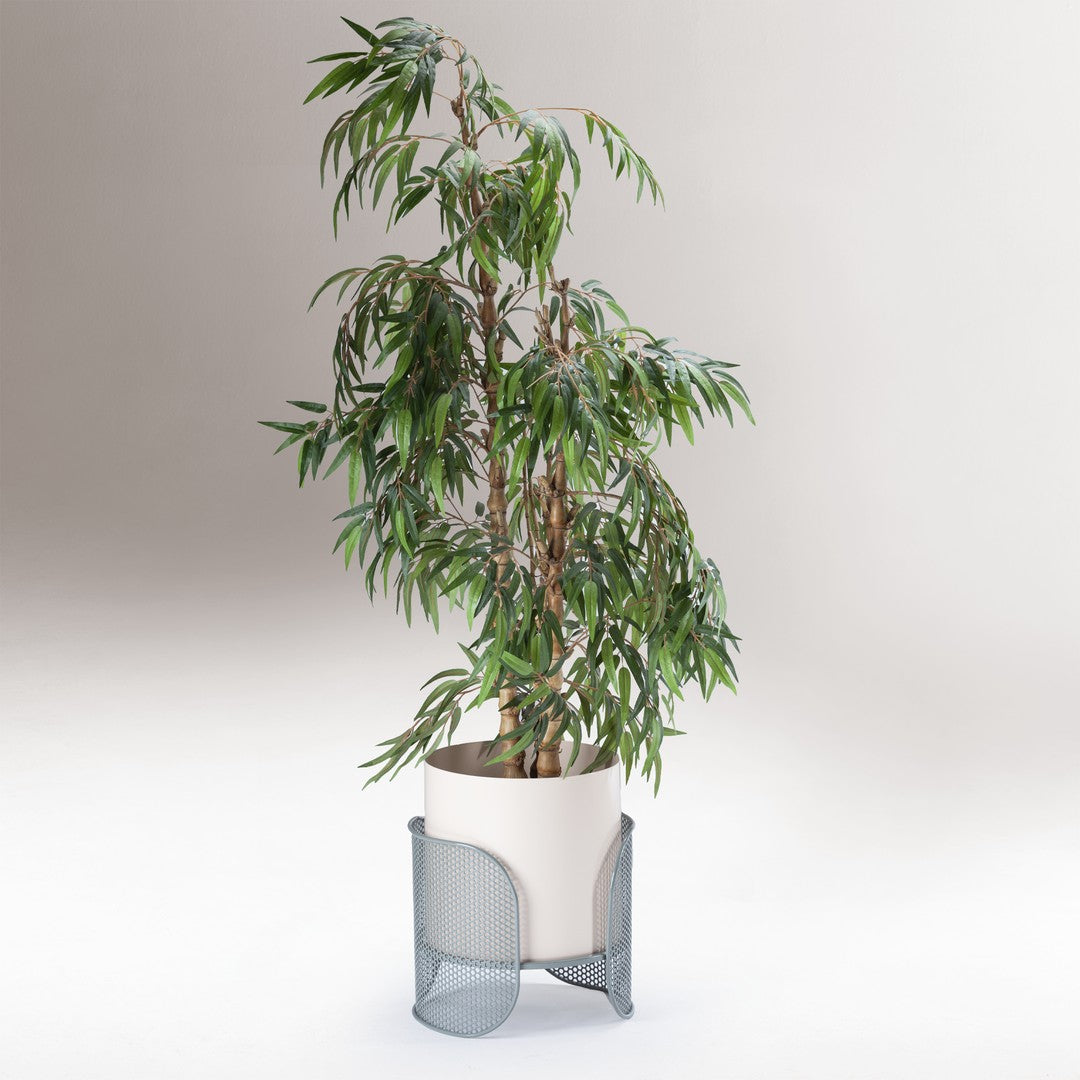 Green leafy plant in a white ceramic pot with a gray mesh base, showcasing a modern and minimalistic design.