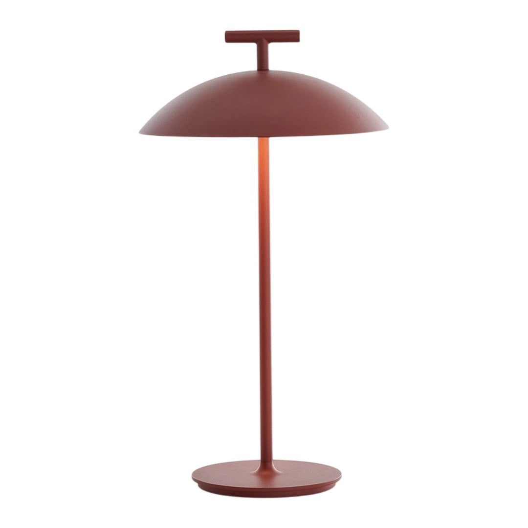 Rust-colored modern lamp with a sleek dome shade and minimalist design, perfect for contemporary interiors.