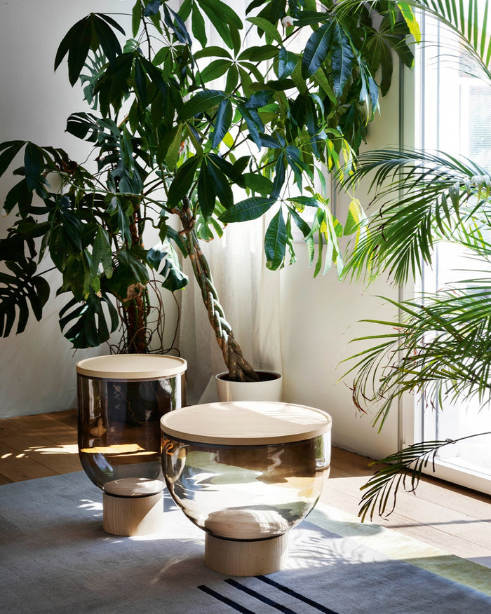 Two modern glass side tables with light wood tops, featuring a mix of clear and tinted glass, surrounded by lush green plants.