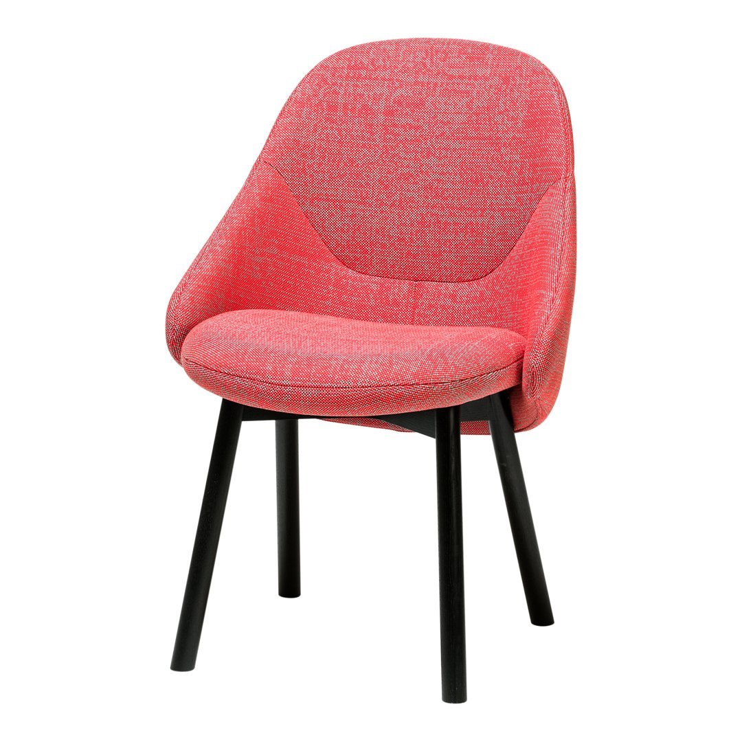 Albu Chair - Beech Pigment Frame