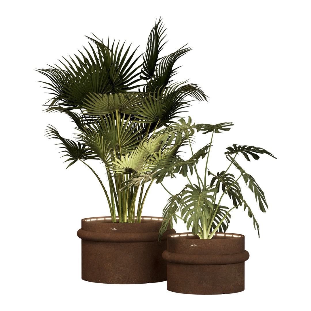 "Green tropical plants in textured brown pots, featuring lush leaves and varied patterns for a vibrant decor accent."