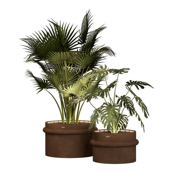 "Green tropical plants in textured brown pots, featuring lush leaves and varied patterns for a vibrant decor accent."