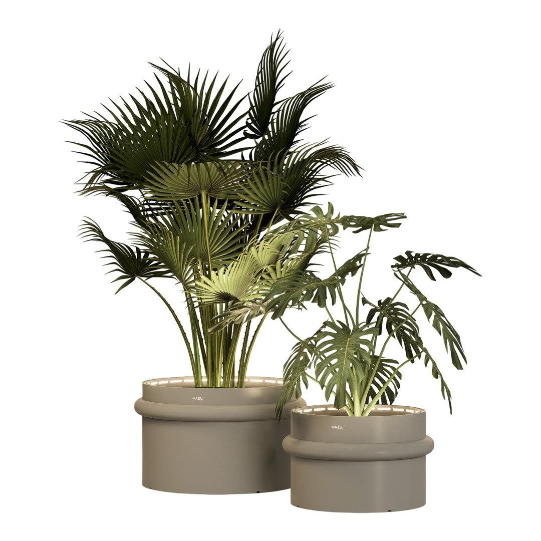 Lush green tropical plants in sleek beige pots, showcasing varied leaf patterns and textures. Perfect for modern decor.