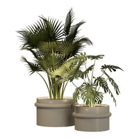 Lush green tropical plants in sleek beige pots, showcasing varied leaf patterns and textures. Perfect for modern decor.