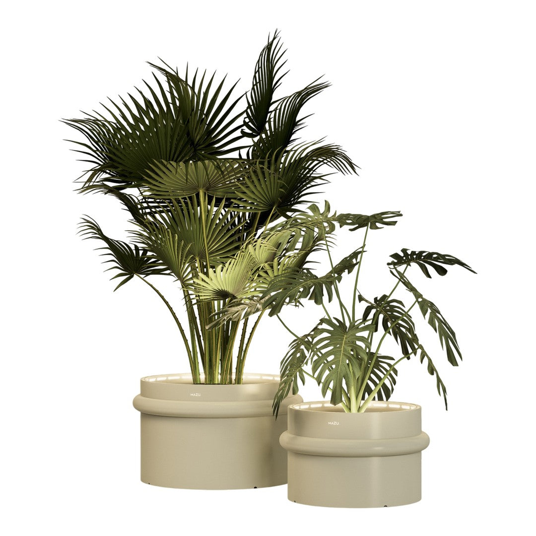 Two potted greenery arrangements with lush green leaves in modern cream-colored pots.