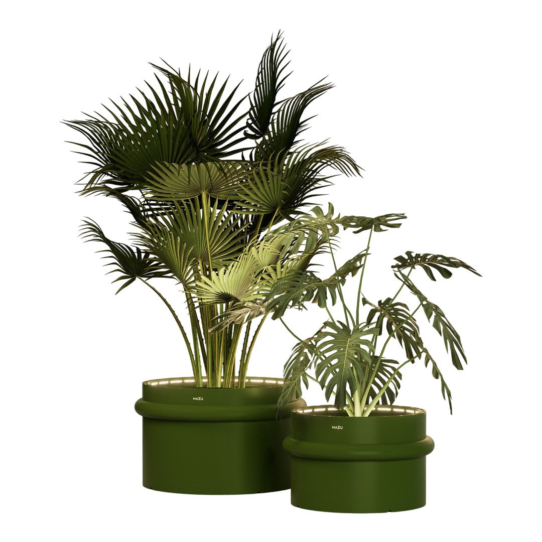 "Green potted plants with diverse leaf patterns, featuring lush, tropical foliage in varying shades of green."