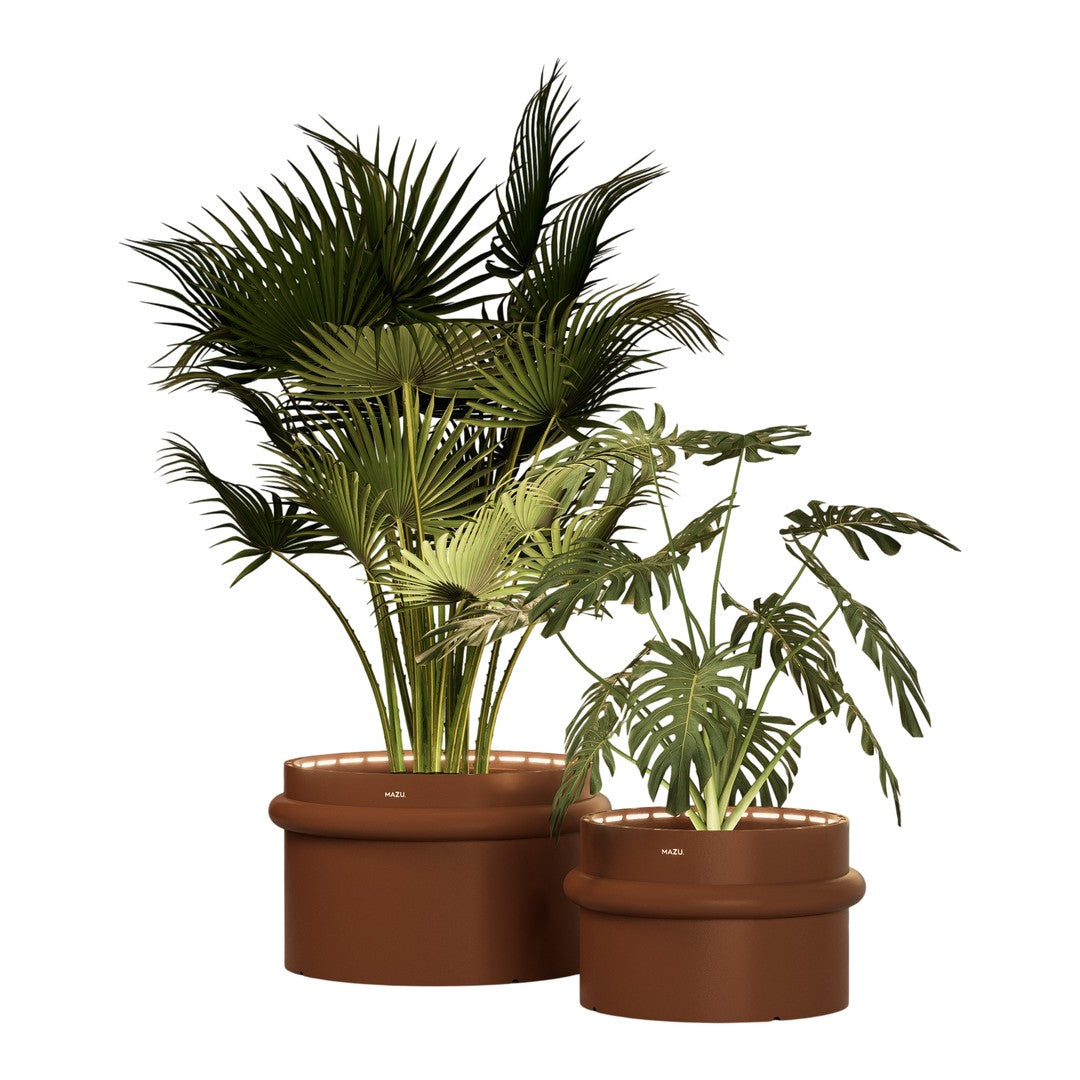 Lush green plants in textured brown pots, featuring bold fronds and intricate leaf patterns for vibrant decor.