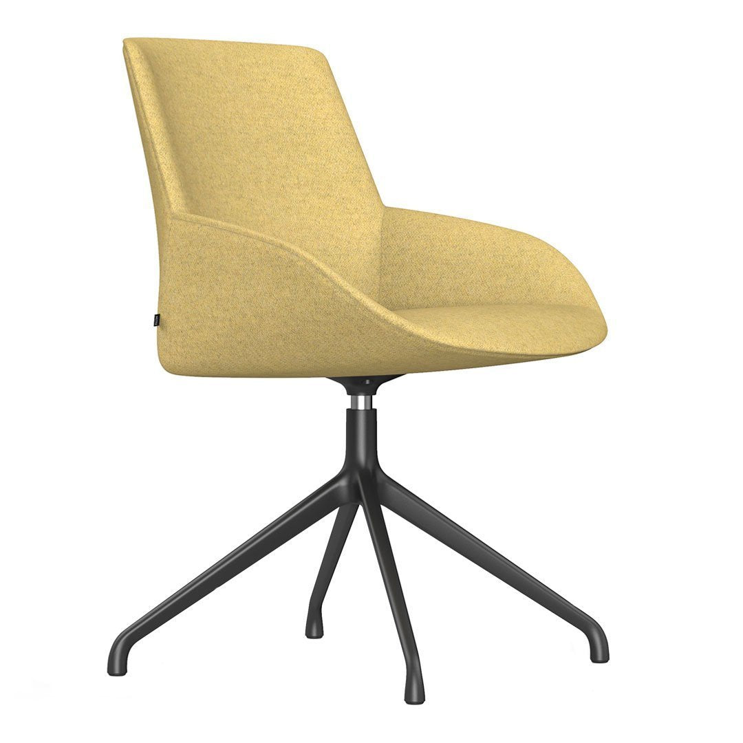 Noom Series 30 Armchair - 4-Star Swivel Base