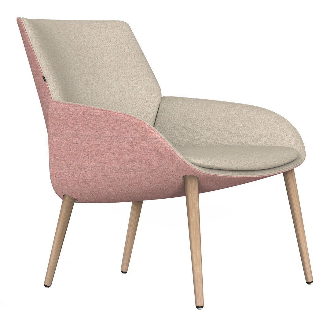 Noom Series 10 Bicolor Lounge Armchair - Conical Wood Legs